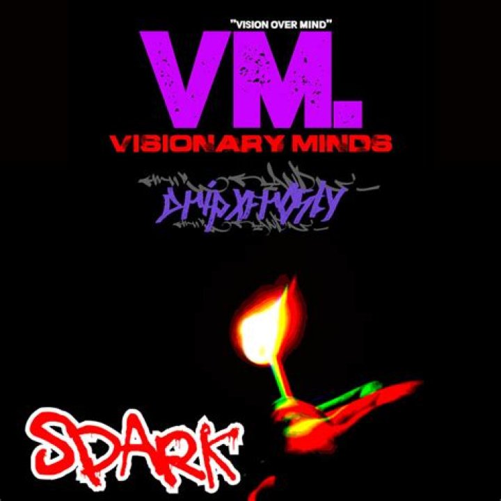 About Visionary Minds