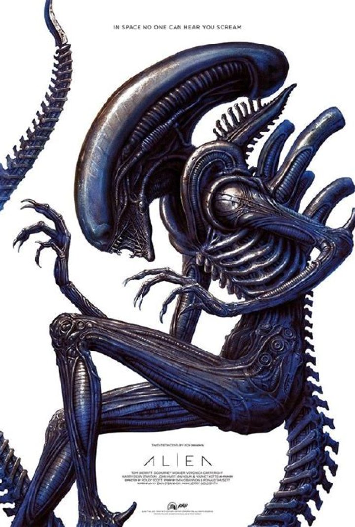 Alien Sister Photos And Video Gone Viral On TikTok Alien