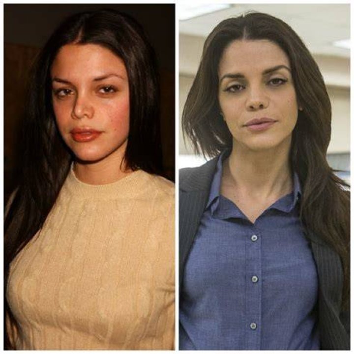 Did Vanessa Ferlito Get Plastic Surgery? See the &lsquo;NCIS&rsquo; Star&rsquo;s
