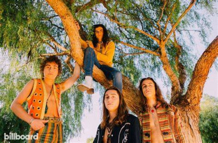 Greta Van Fleet on Carrying the Classic Rock Torch Forward Interview