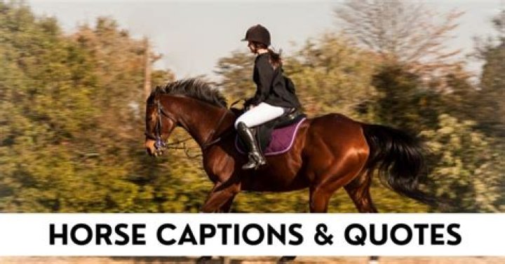 Horse Captions, Quotes To Make Your Instagram Trot! ListCaboodle in