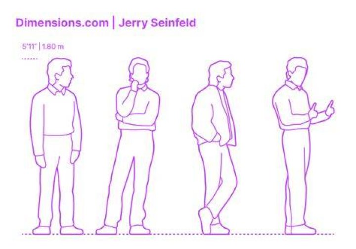 Jerry Seinfeld Dimensions & Drawings