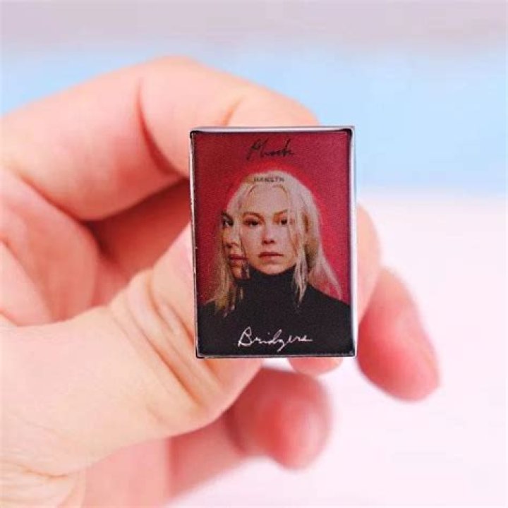 Pin on phoebe bridgers
