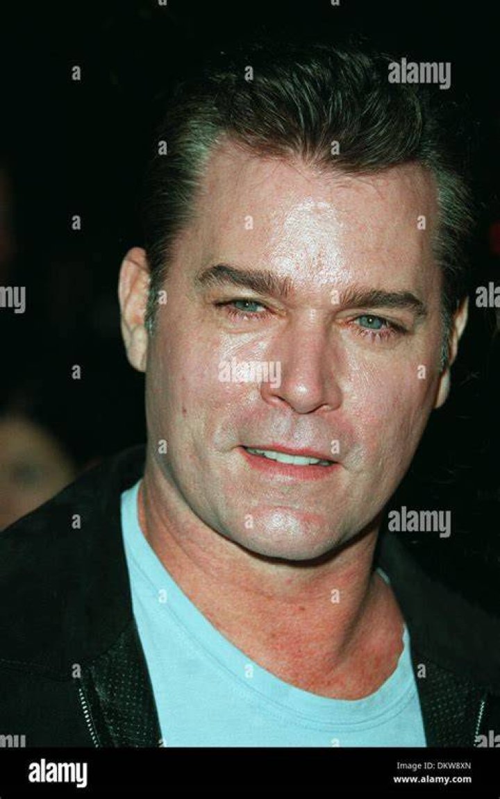Ray Liotta Acteur Chacun Cherche Son Film