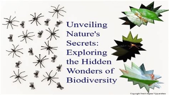 Unveiling The Secrets: Exploring The Age Of Joshua Bassett