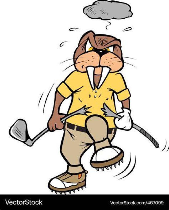 Walrus golfer vector art Download Golfer vectors 467099