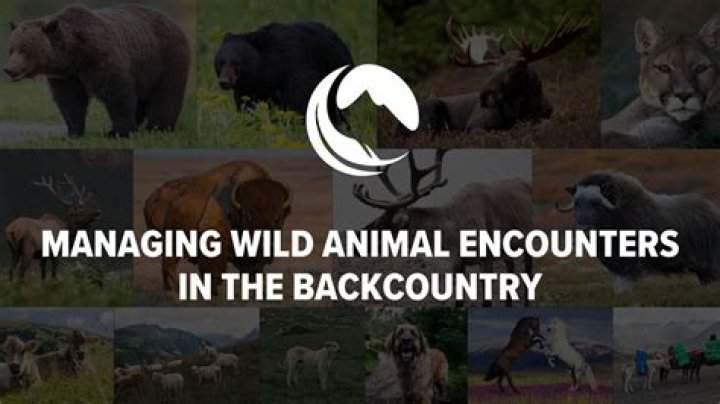 Wildlife Encounters, Conservation, And Adventure