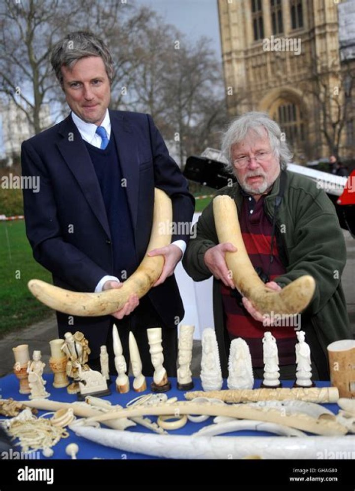 Zack Goldsmith and Bill Oddie at the International Fund for Animal